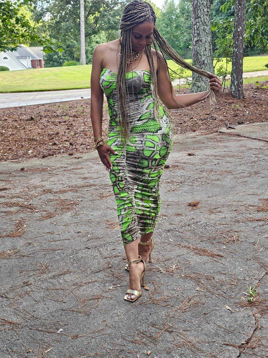 Bold Snakeprint Dress